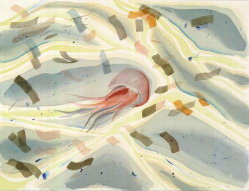 29 Medusa-2015-acquarello-50-x-40-cm